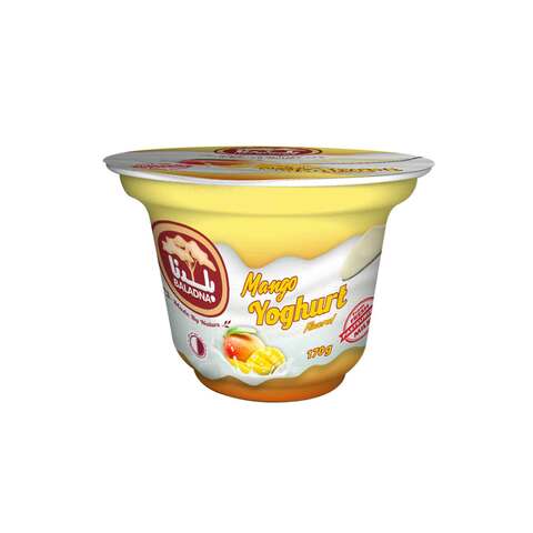 Baladna Fresh Mango Set Flavored Yoghurt 170g
