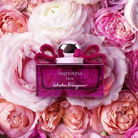 Signorina 100ml clearance