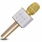 Buy ITL YZ920 Bluetooth Karaoke Microphone With Speaker Gold in Saudi Arabia