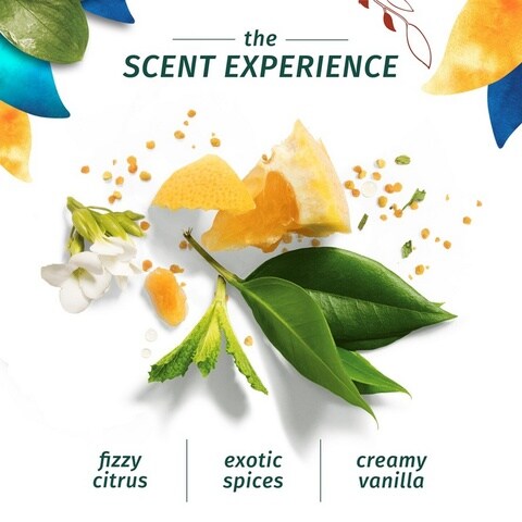 Herbal Essences Bio:Renew Argon Oil Of Morocco Shampoo 400ml