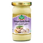 Buy Mehran Ginger Garlic Paste 320g in UAE