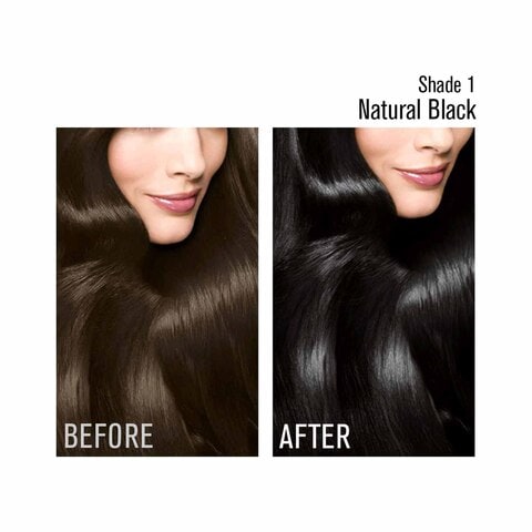 Garnier Color Naturals Hair Color - Dark Black