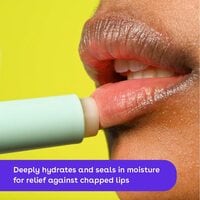 EOS USDA Organic Lip Balm, Vanilla Bean, Lip Care To Moisturize Dry Lips, 100% Natural And Gluten Free, Long Lasting Hydration, 0.14 Oz, 2 Pack