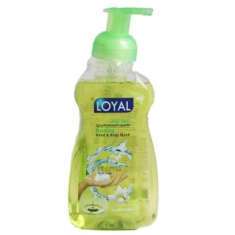 Loyal Antiseptic Foaming Hand And Body Green Garden