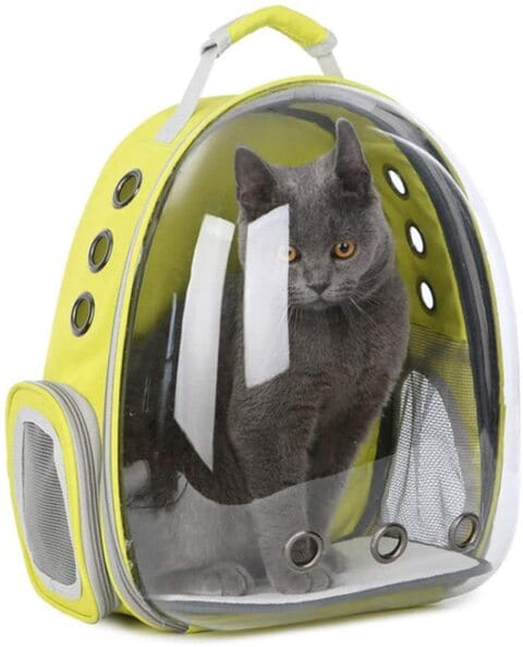 Outdoor cat outlet backpack