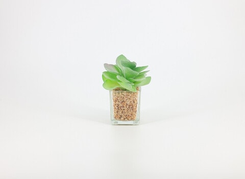 Artificial succulent bonsai-Model 08