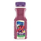Buy Al Rawabi Berry Blast Juice 200ml in UAE