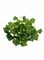 12-Piece Artificial Hanging Ivy Leaves Green