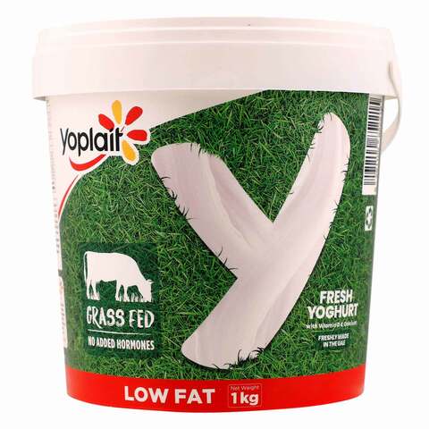 Buy Yoplait Low Fat Grass-Fed Fresh Yoghurt 1kg in UAE