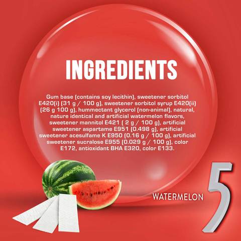 Wrigleys Watermelon Chewing Gum 31.2g