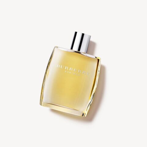 Burberry classic hotsell edp 100ml