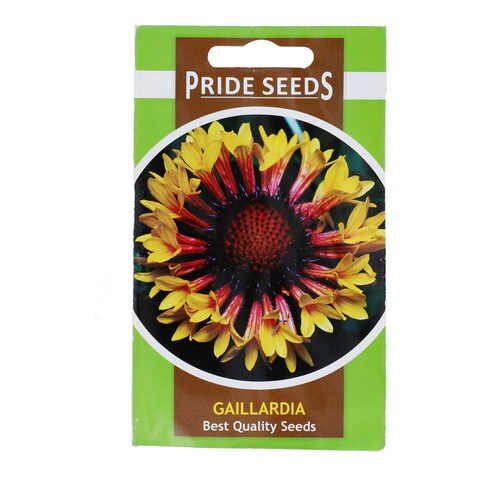 Pride Seeds Gaillardia