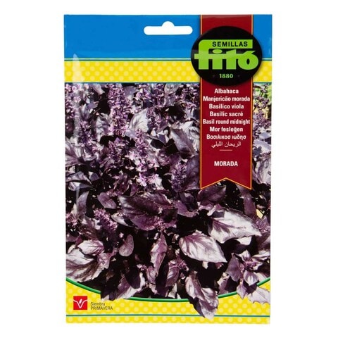 Fito Basil Round Midnight Seed 4g