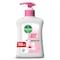 Dettol Liquid Hand Wash Soap Skincare 250mL