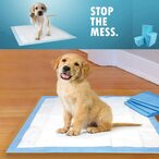 اشتري Besteasy-Life 40Pcs Pet Dog Diapers Disposable Heavy Absorbency Underpads Pet Dog Training Urine Pad Diapers For Dogs Cleaning Diapers (L-60 * 60Cm) في الامارات