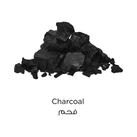 لوريال باريس قناع الطين النقي لإزالة السموم بخلاصة الفحم 50 ملل - رمادي