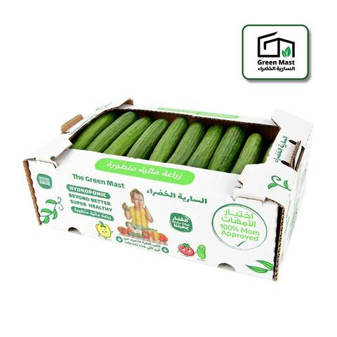 Cucumber Hydroponic Box 2.8 To 3kg