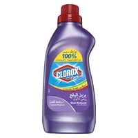 Clorox Stain Remover And Color Booster For Colored Clothes Floral Scent Liquid 900ml