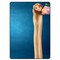 Theodor Protective Flip Case Cover For Apple iPad 6th Gen 9.7 inches Long Hair