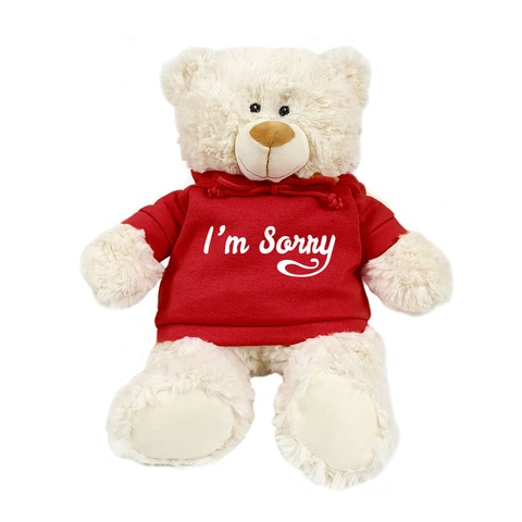 Sorry teddy shop bear online