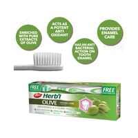 Dabur Herbal Enamel Care Olive Toothpaste 150g With Toothbrush Green