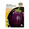 Zorzi Eggplant Seed 2 Gram