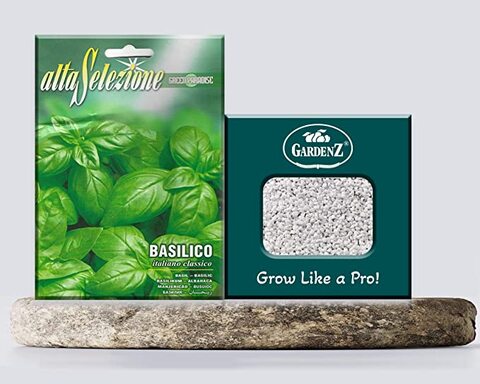 Buy Basil Seeds Model ASO 132 Brand ALTA SELEZIONE Origin Italy