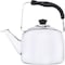 Wilson Tea Kettle With Capsule Bottom 2.5L Silver