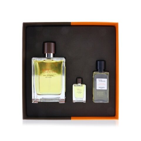 Buy Hermes Terre D'Hermes Eau Intense Vetiver for Men Set Edp 100Ml ...