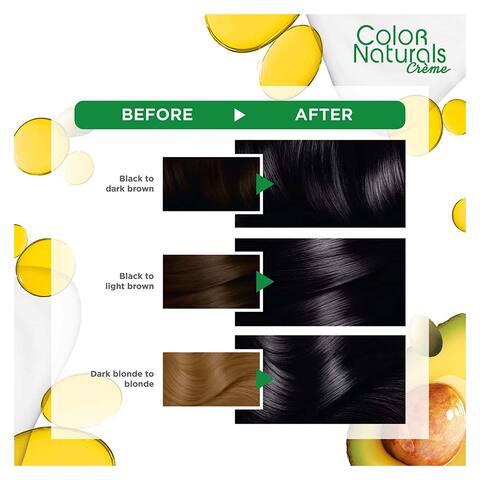 Buy Garnier Color Naturals Hair Color - Black Online - Shop Beauty &  Personal Care on Carrefour Egypt