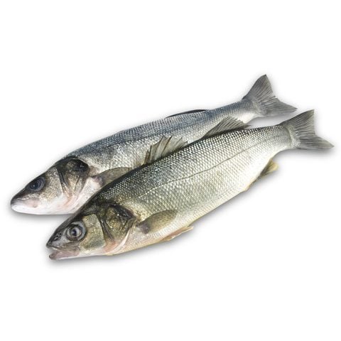 Buy Fresh Norway Salmon Fish 2-3kg Online - Shop Fresh Food on Carrefour  Saudi Arabia