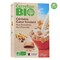 Carrefour Bio Organic Hazelnuts And Chocolate Cereals 375g