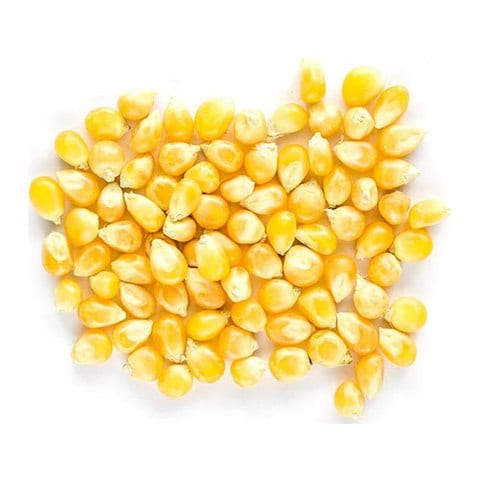 Haj Arafa Un-Popped Popcorn Kernels