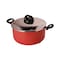 Newflon Cooking Pot 22 Cm