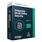 Kaspersky Small Office Security 11 Devices