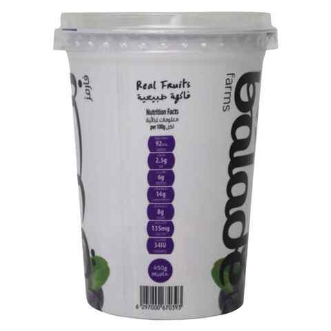 Balade Low Fat Blueberry Greek Yoghurt 450g