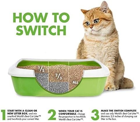 Buy cat outlet litter online