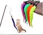 Buy Generic Cat Toy Feather Plush Replacement Kitten Pet Dog Teaser Teaster Funny Play Set Of 5 in UAE