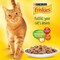 Purina Friskies Duck Chunks In Gravy Wet Cat Food Pouch 85g