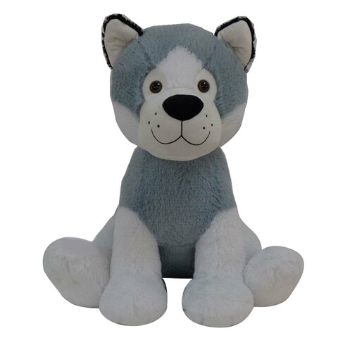 Grey dog outlet teddy