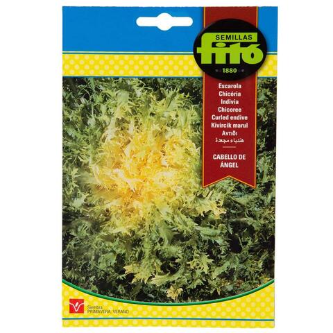 Fito Seed Kivircik Marul Lettuce (8 g)