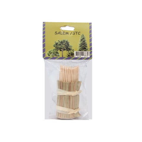 Salem Toothpicks Pack of 150 Brown