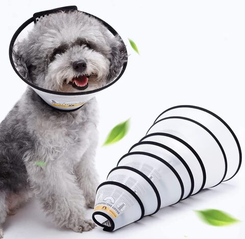 Dog plastic 2024 cone collar