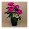 Supreme Camellia Artificial Flower With Flowerpot Purple