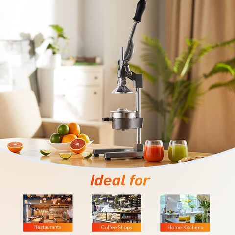 Manual fruit deals juicer