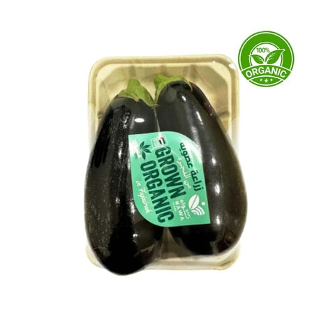 Organic Eggplants 500g