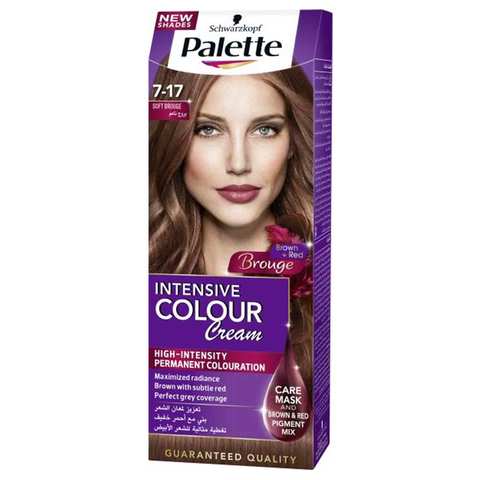 Palette Hair Color Kit Soft Brogue No.7-17