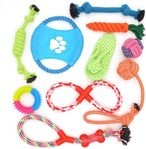 اشتري Mumoo Bear Dog Rope Toys 10 Pack Pet Toy Set Puppy Teething Chew Rope Tug Assortment for Small Medium Large Dogs Breeds في الامارات