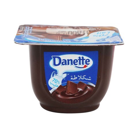 Danone Danette Chocolate Cream 100g