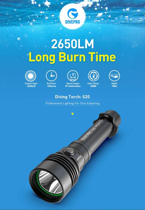 Diving torch on sale